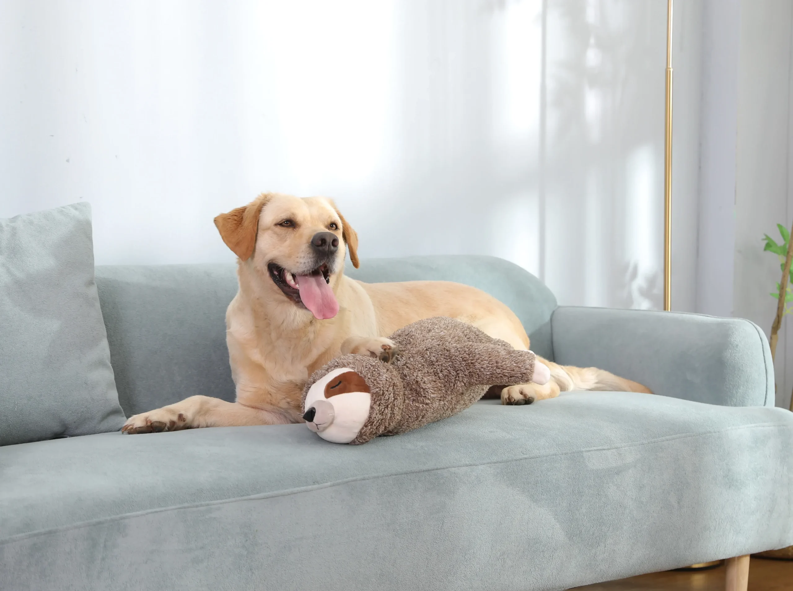 Calming Cuddle - Kalmerende Hondenknuffel Tegen Angst en Stress - Afbeelding 5