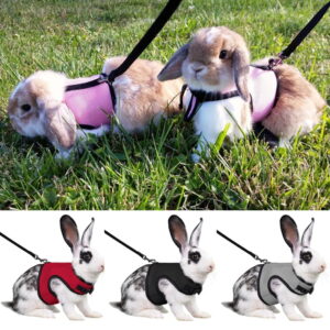Konijnentuigje met Riem (130cm)