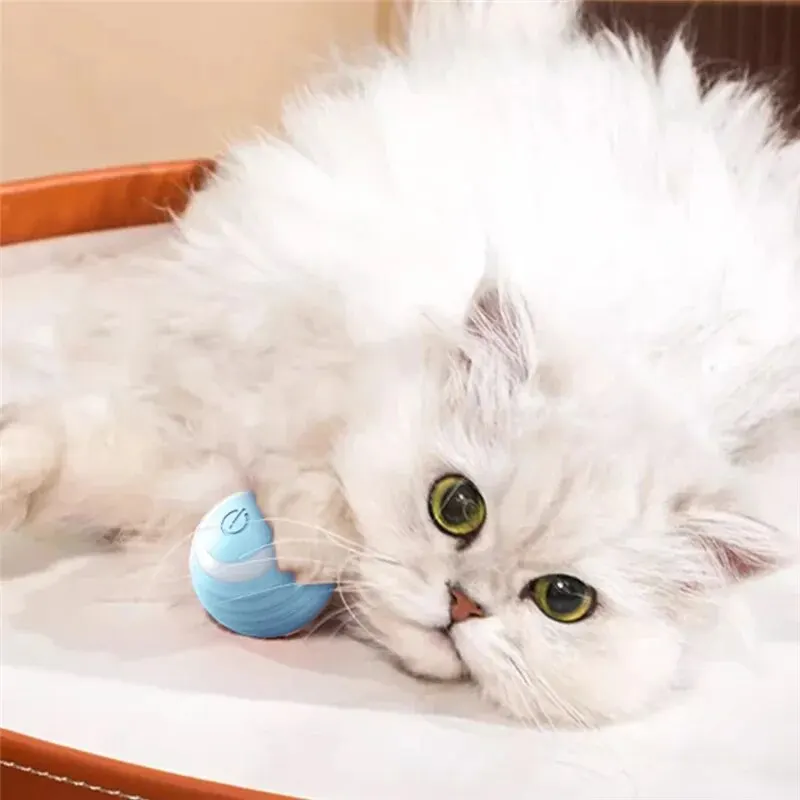 Interactieve Kattenbal - Urenlang Speelplezier - Afbeelding 4