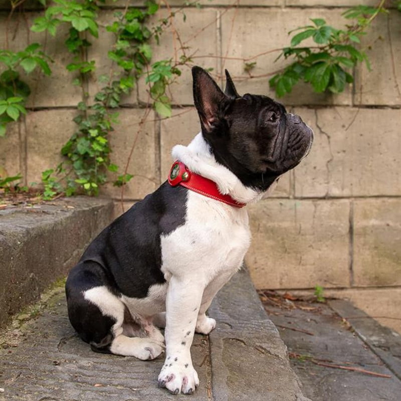 Leren Apple AirTag Halsband voor Honden - Afbeelding 3