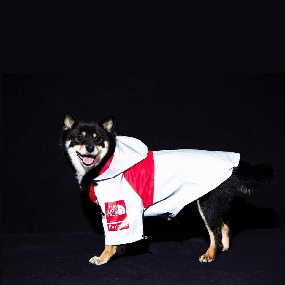 The Dog Face Reflector - Reflecterende Regenjas voor Honden - Afbeelding 3