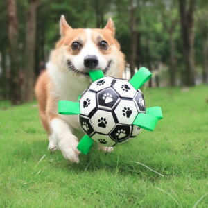Voetbal voor Honden