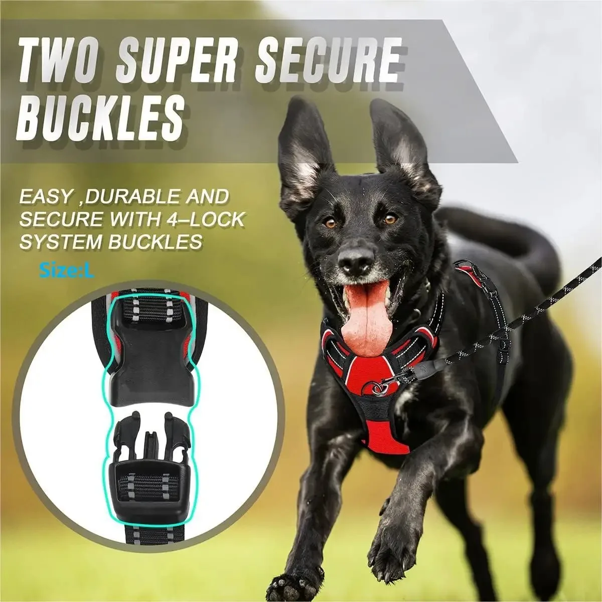 No-Pull Hondentuig β Comfortabel & Veilig Wandelen Zonder Trekken - Afbeelding 5