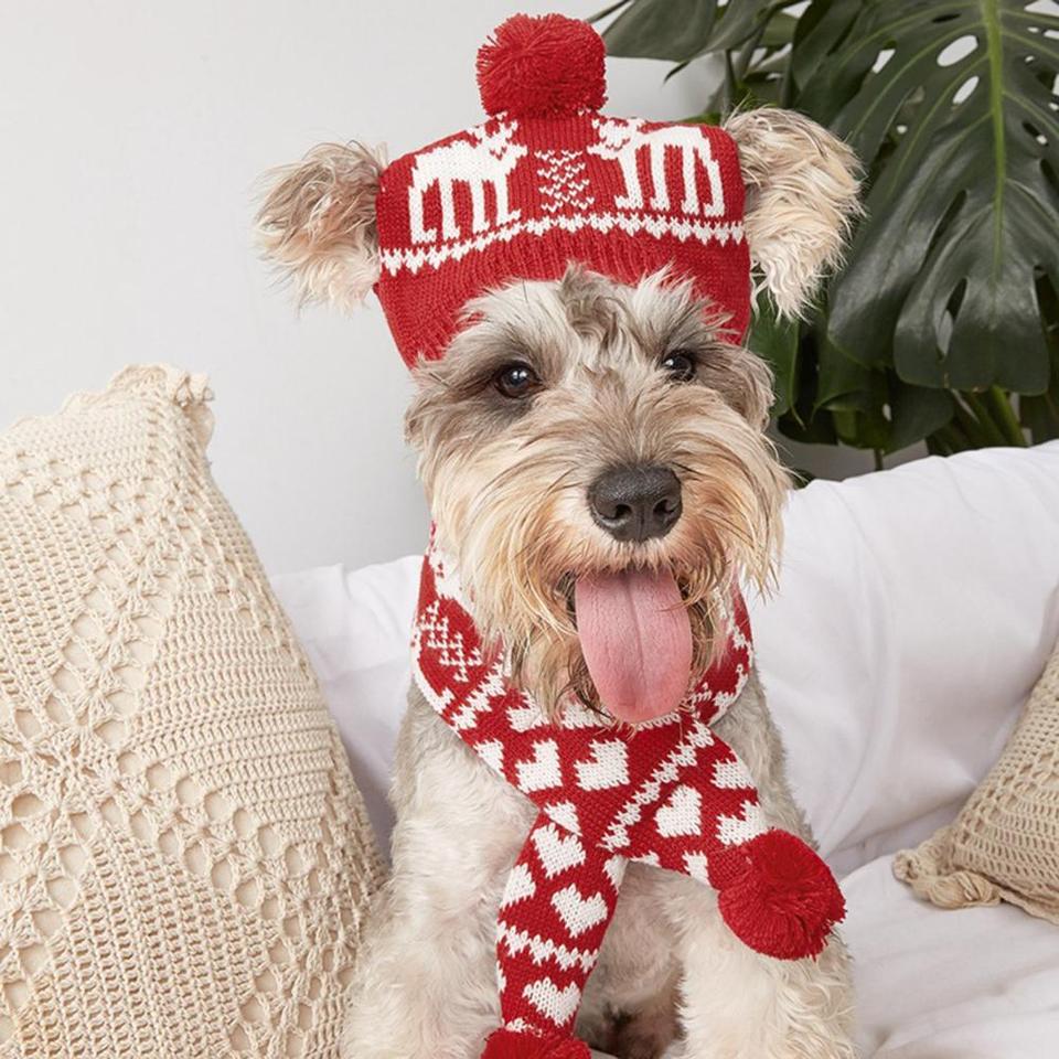 Gebreide Kerstmuts + Kerstsjaal voor Honden - Afbeelding 3