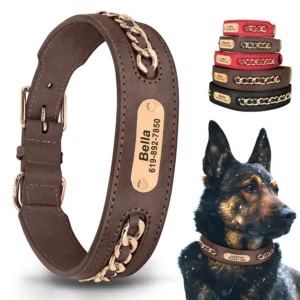 Leren Hondenhalsband met Naam - Western Style