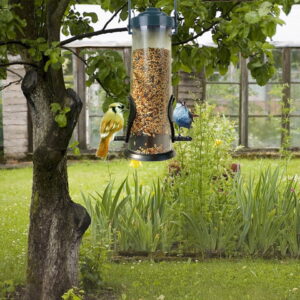 Voedersilo voor Vogels
