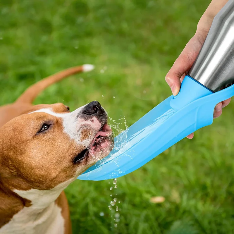 RVS Drinkfles voor Honden - 750ml