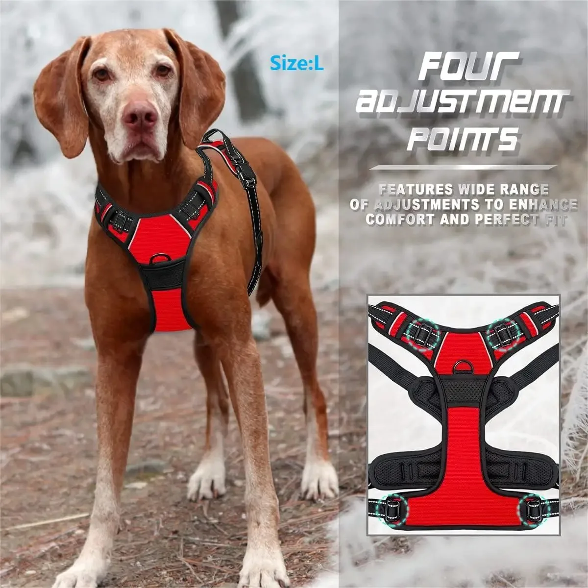 No-Pull Hondentuig β Comfortabel & Veilig Wandelen Zonder Trekken - Afbeelding 3