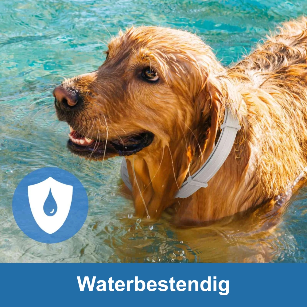Beile Vlooien- en Tekenband - Afbeelding 4