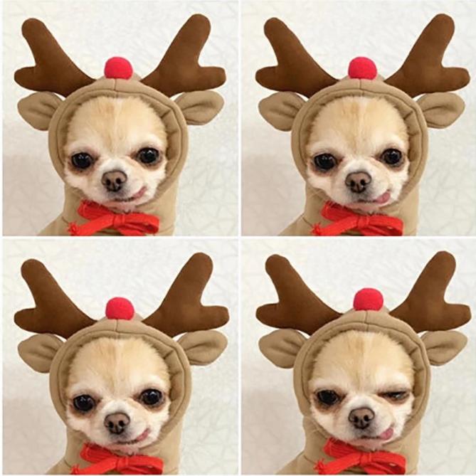 Rendier Kerst Hoodie voor Hond en Kat - Afbeelding 4