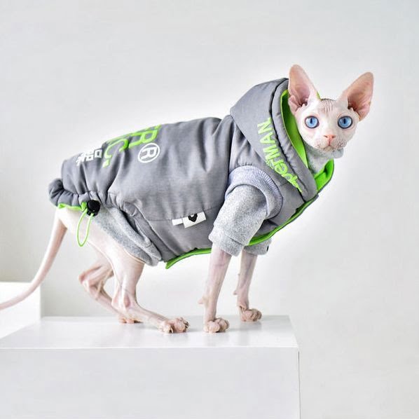 Super Manic Jas voor Katten - Afbeelding 3