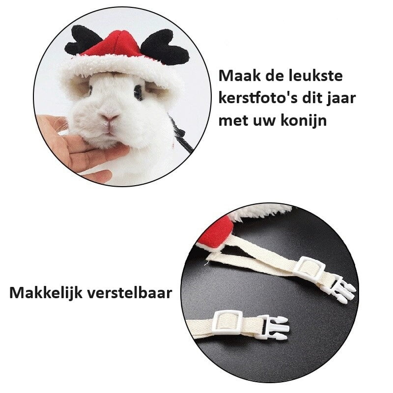 Kersttuigje voor Konijnen + Riem - Afbeelding 4