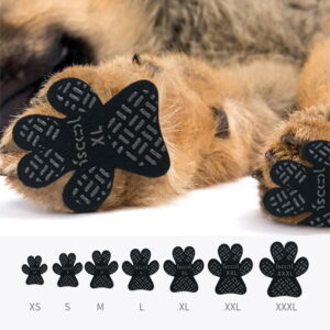 Antislipzolen voor Honden