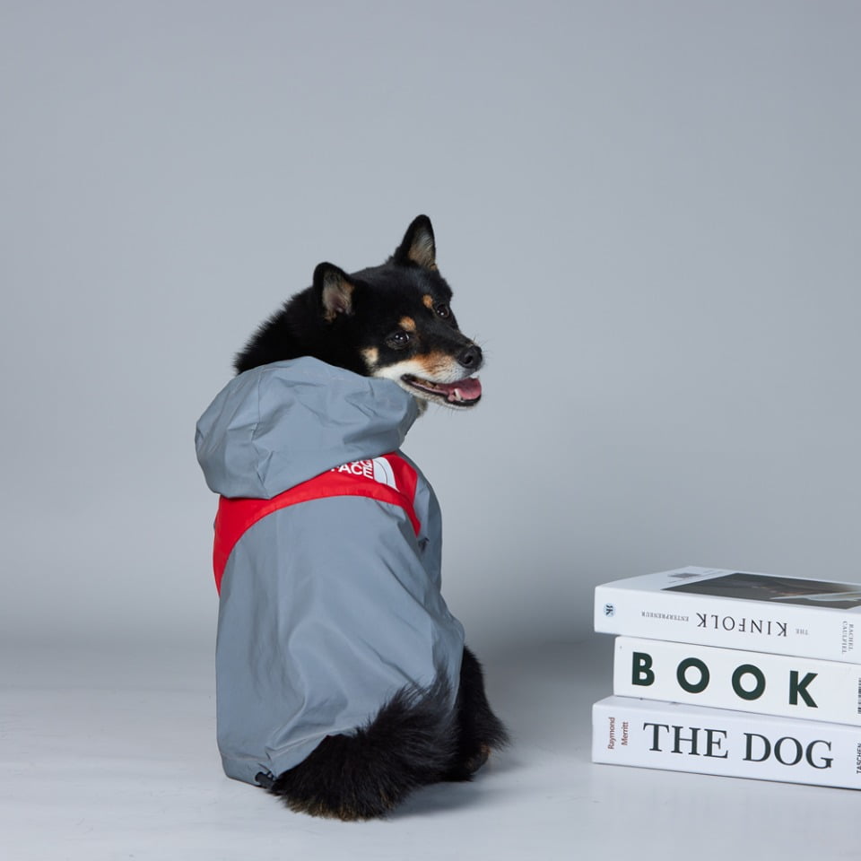 The Dog Face Reflector - Reflecterende Regenjas voor Honden - Afbeelding 5