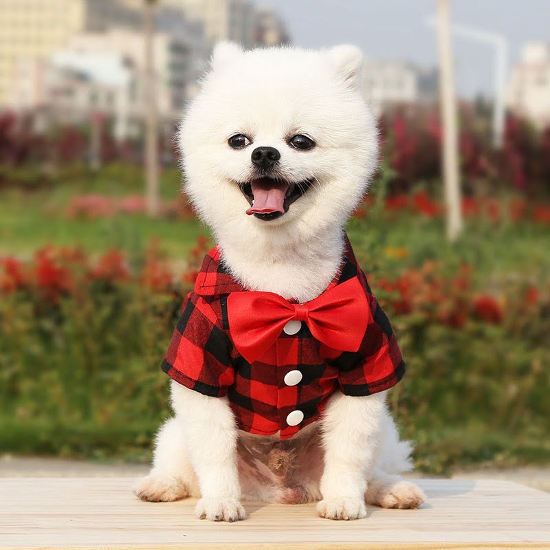 Blouse met Strik voor Honden - Afbeelding 6