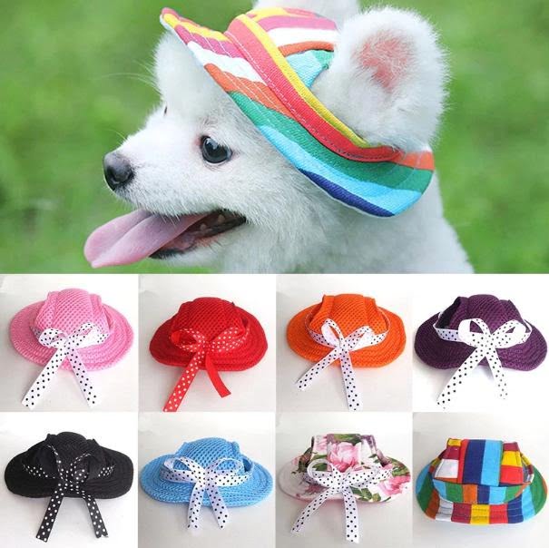 Vissershoedje voor Honden - Afbeelding 2