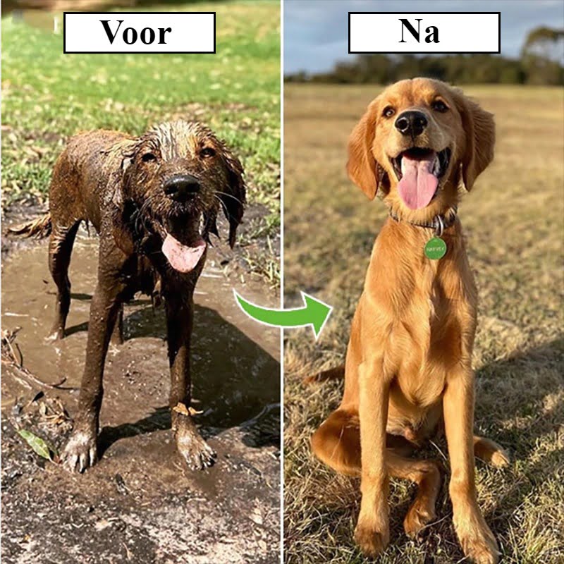 Shampoo Shower - Hondendouche met Shampooreservoir - met 8 Standen - Afbeelding 2