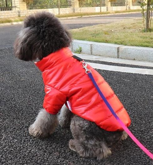 The Dog Face Puffer Jacket - Afbeelding 8