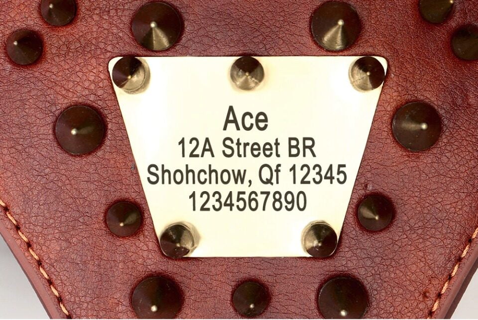 Heavy Duty Hondenharnas - Voor Extreem sterke honden - Met Gravure - Afbeelding 6