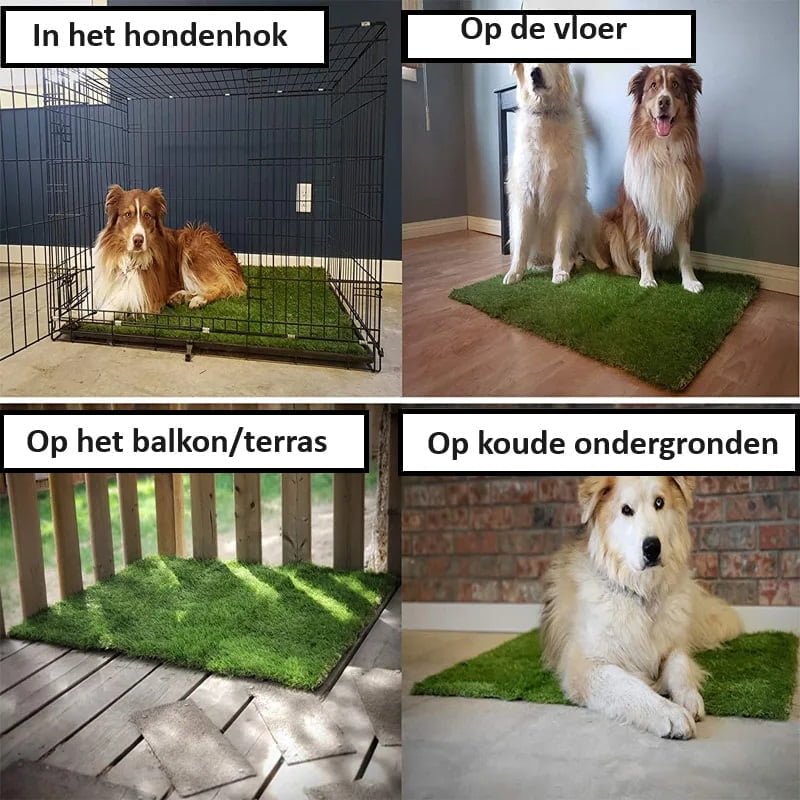 Kunstgras Mat voor Honden - Afbeelding 6