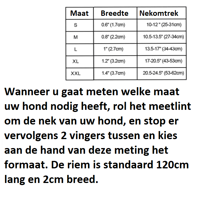 Halsband met naam voor honden - Afbeelding 2