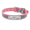 Roze reflecterend