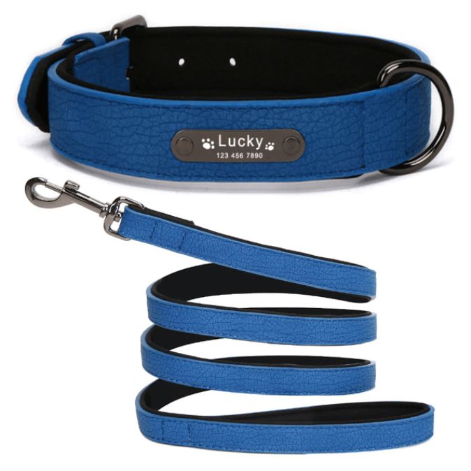 Halsband met naam voor honden - Afbeelding 4