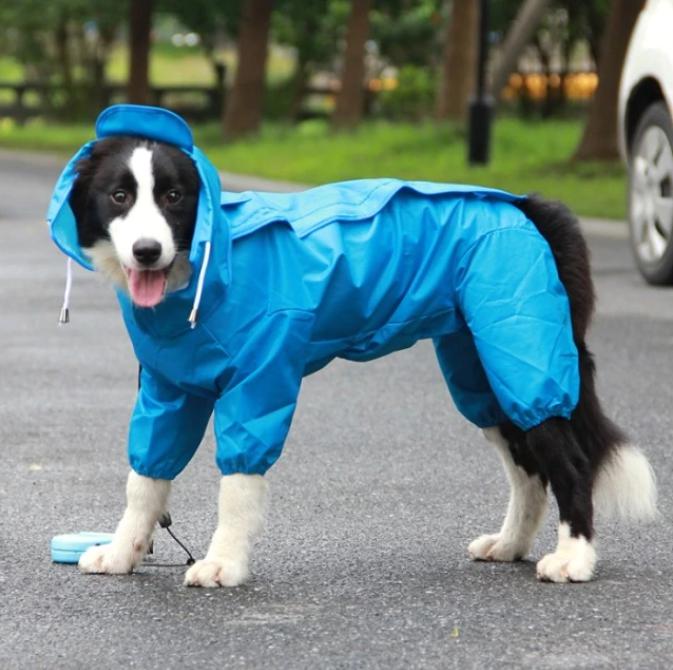 Regenpak met Capuchon voor Honden - Beschermt uw hele Dier tegen Regen - Afbeelding 8