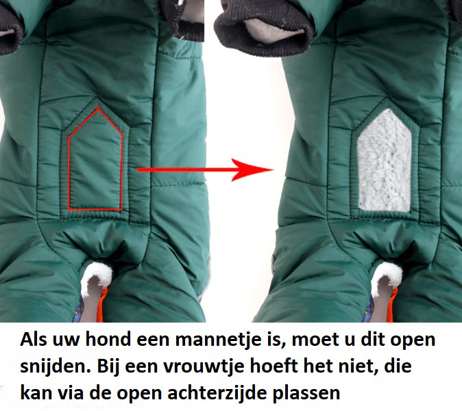 Waterproof jas voor honden - Afbeelding 3
