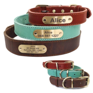 Leren halsband met persoonlijke tekst