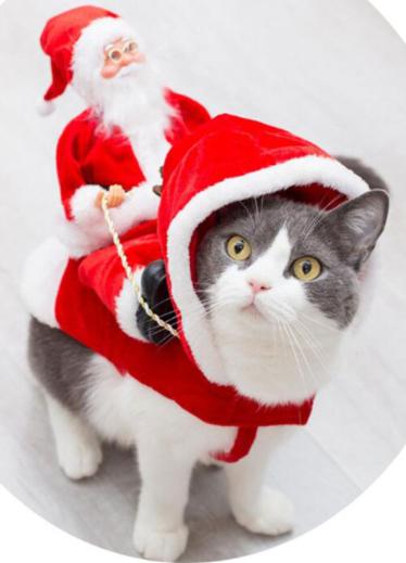 Kerstkostuum voor Honden en Katten met Kerstmanpop - Santa's Reindeer - Afbeelding 3