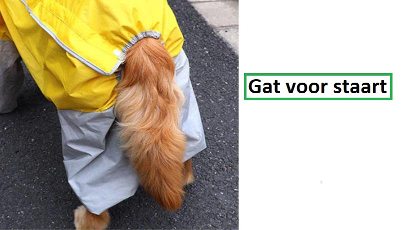 Regenpak met Capuchon voor Honden - Beschermt uw hele Dier tegen Regen - Afbeelding 5
