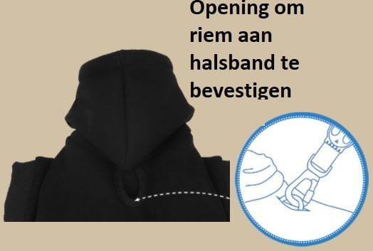Hondenhoodie met naam - Afbeelding 4