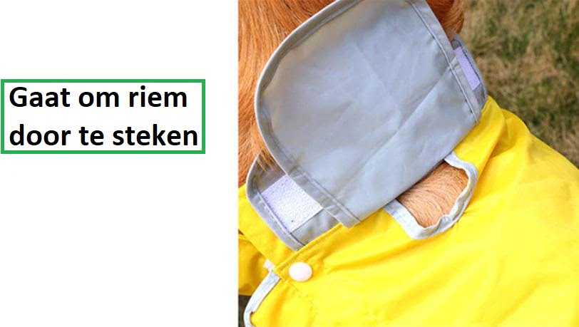 Regenpak met Capuchon voor Honden - Beschermt uw hele Dier tegen Regen - Afbeelding 3