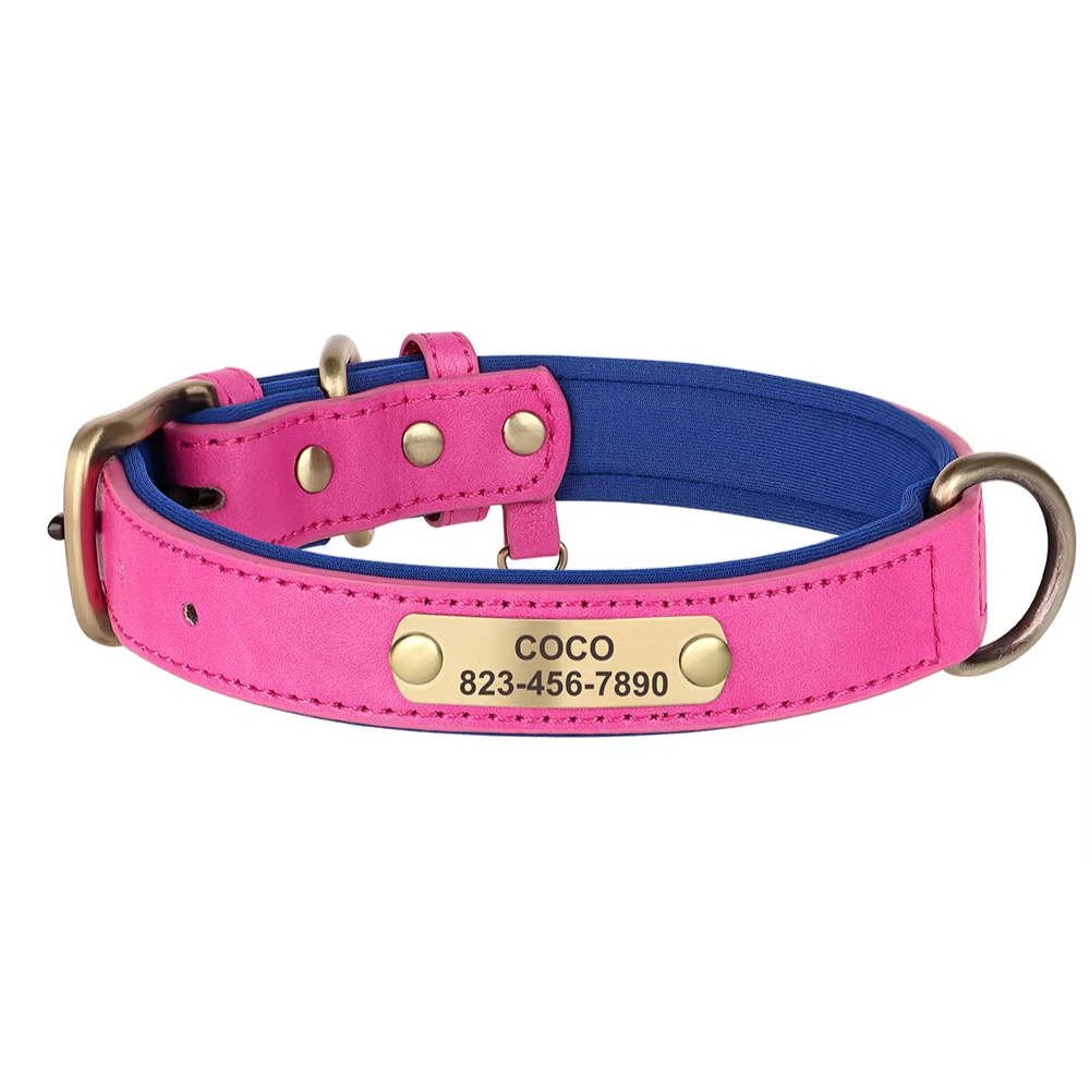 Leren Halsband met Naam voor Honden