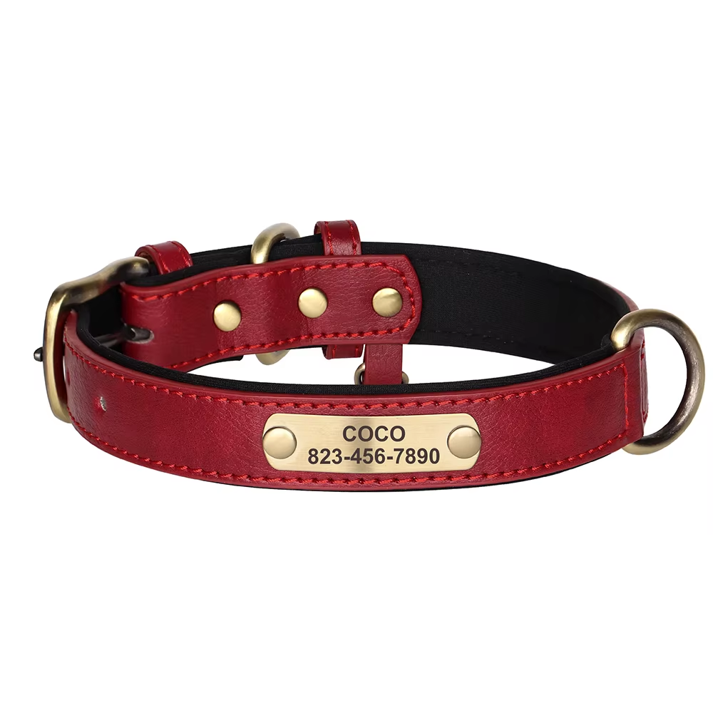 Leren Halsband met Naam voor Honden