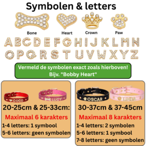 Glitter Halsband met Naam - met Strassletters