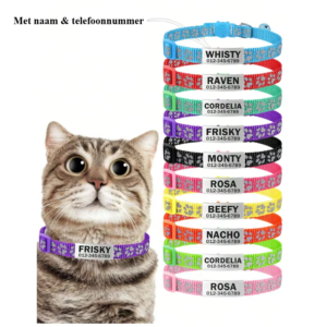 Breakaway Kattenhalsband met Naam