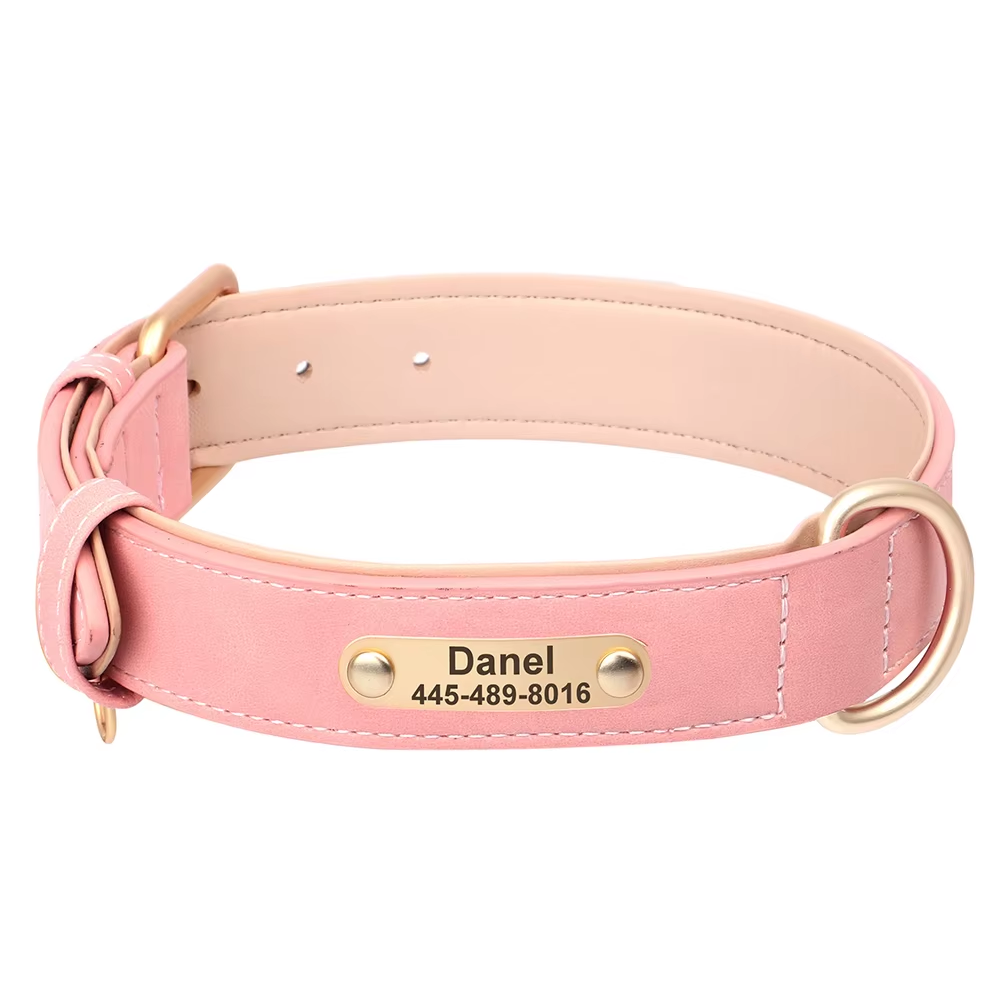 Suede Halsband met Naam voor Honden