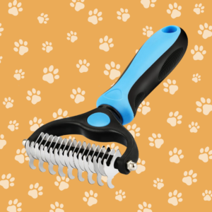 Kattenverzorging