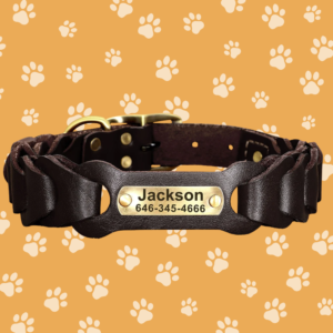 Leren halsband