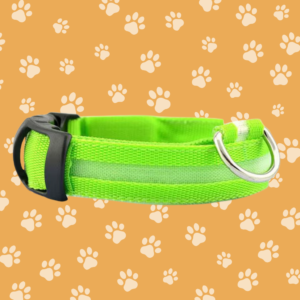 Lichtgevende Halsband