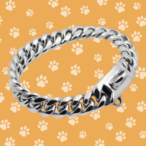 Stalen Halsband