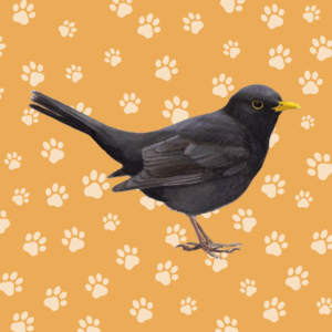 Vogels
