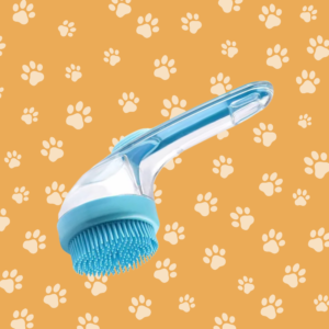 Wassen