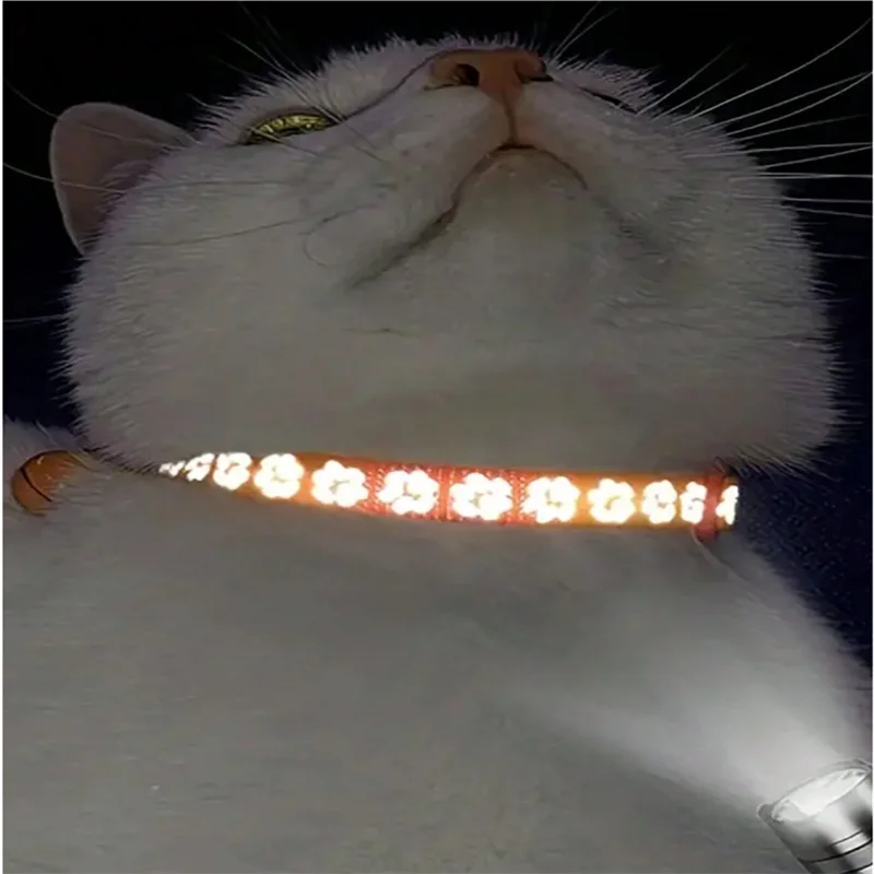 Breakaway Kattenhalsband met Naam