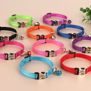 Gegraveerde Halsband voor Katten