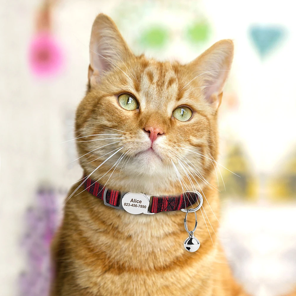 Gepersonaliseerde Kattenhalsband - met Belletje en Veiligheidsgesp