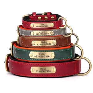 Leren Halsband met Naam voor Honden