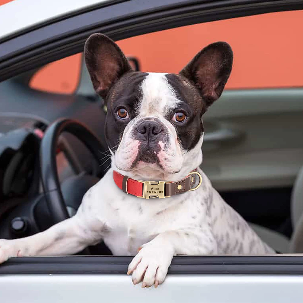Gepersonaliseerde Halsband voor Honden